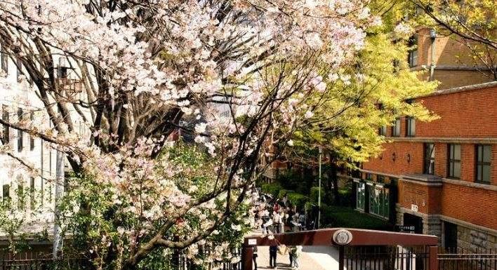 上智大学.jpg