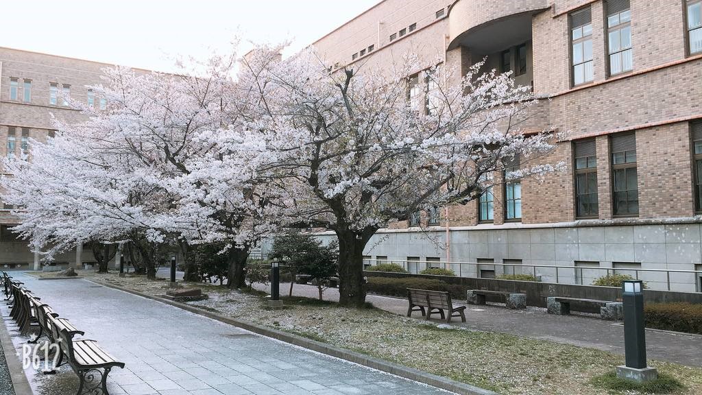 京都大学-1.jpg
